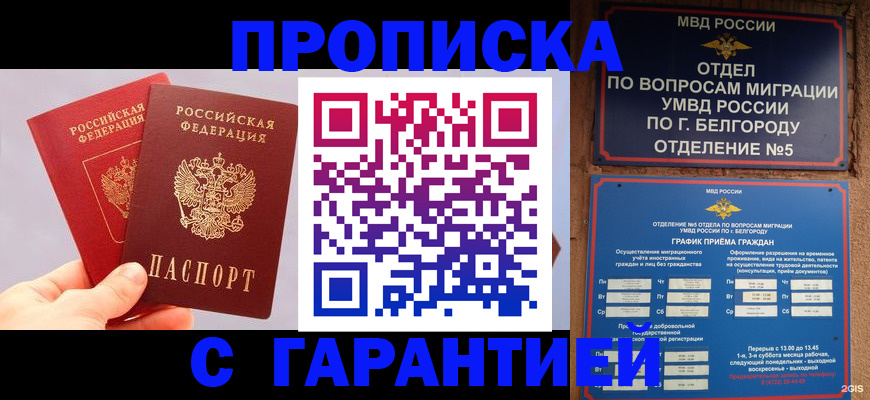 прописка 2025 в Жирновске